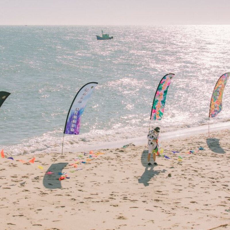 Beachflag 250cm